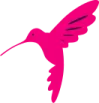 Logo hummingbird bird