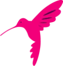 Logo hummingbird bird