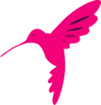 Logo hummingbird bird