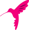 Logo hummingbird bird